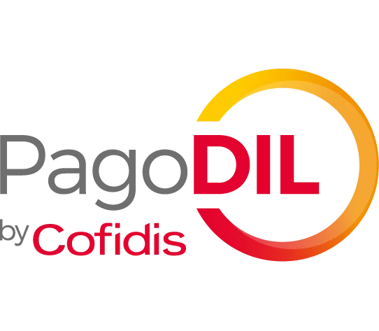 payments-pagodil